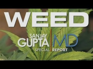 How much a marijuana addict is CNN's Dr. Sanjay Gupta