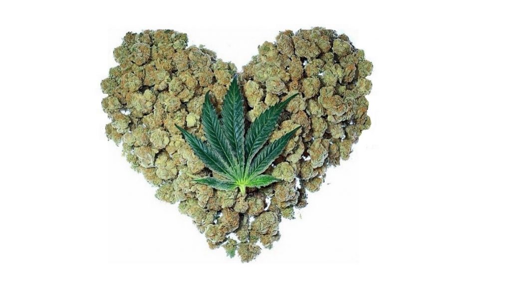 Why 58% of America Loves Weed