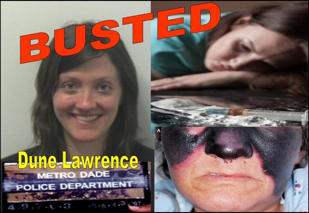 DUNE LAWRENCE, BLOOMBERG BUSINESSWEEK, REPORTER, BUSTED, FRAUD, BANNED FROM CHINA, RODDY BOYD, NICK BAKER, ANNIE MASSA, HANNA BOUVENG
