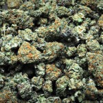 California Considers Law Requiring Police to Return Marijuana