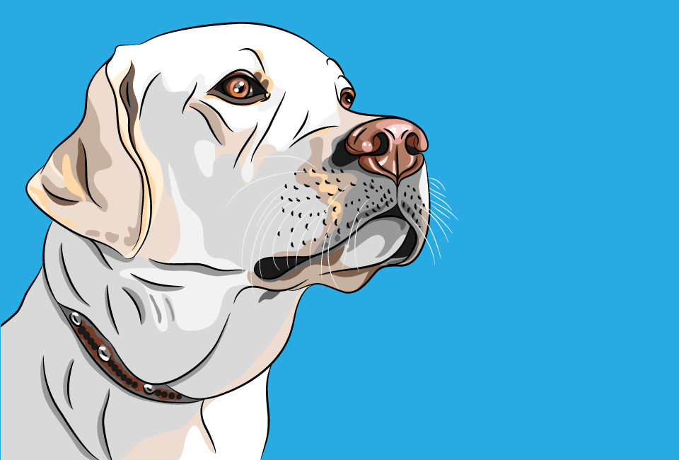 Hero Dog Saves Owner's Life by Calling 911