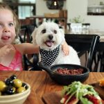 Bone Appetit! Dogs Will Be Allowed in California Restaurants