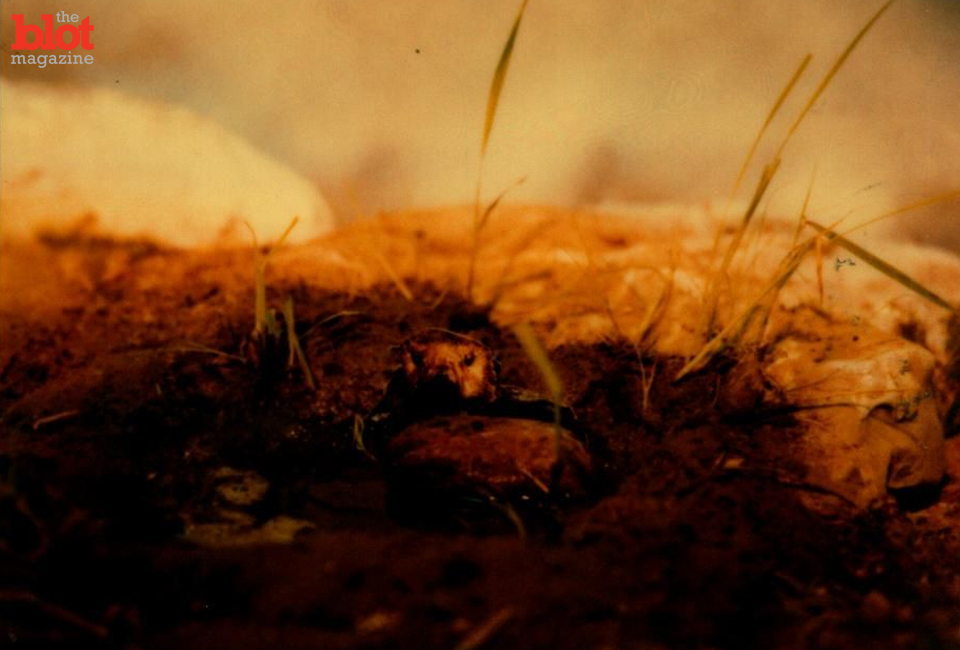 Princess Amnesia's servants pay the ultimate price as she plays a very dangerous game in this new chapter of B.B. Young's serial novel "The Peepshow." (Image by Joel B. Feldman)