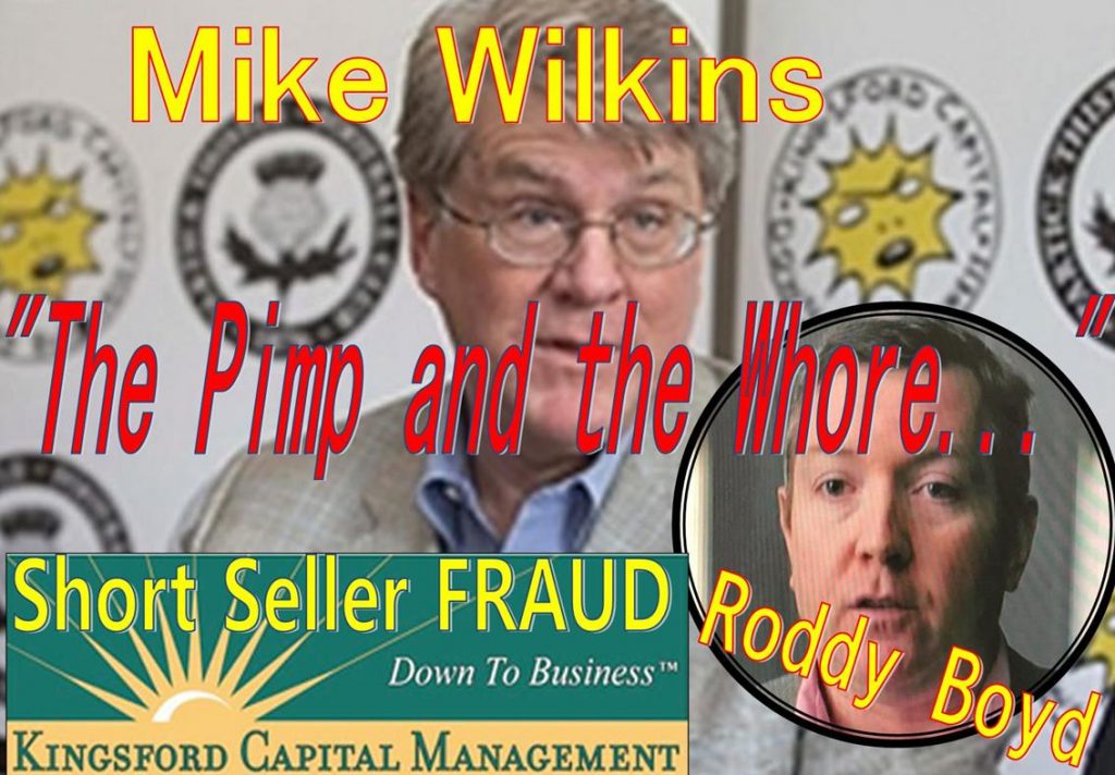 Mike Wilkins, KIngsford Capital Management, Roddy Boyd, Herb Greenberg, Samantha Boyd, Bloomberg, Short seller, fraud, Southern Investigative Reporting Foundation