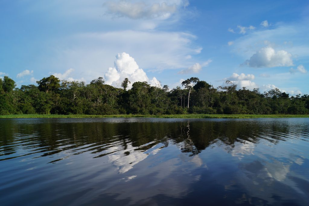 The toilet on Dawn on the Amazon is on the poop deck. If you pull back the curtain, this is your view while you go about your business. (photo by Kirsten Koza)