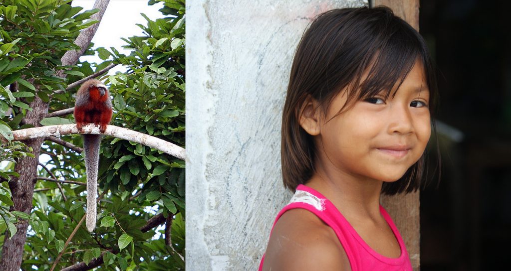 Dusky Titi monkey (left, photo by Dawn on the Amazon). Amazon girl (right, photo by Kirsten Koza)