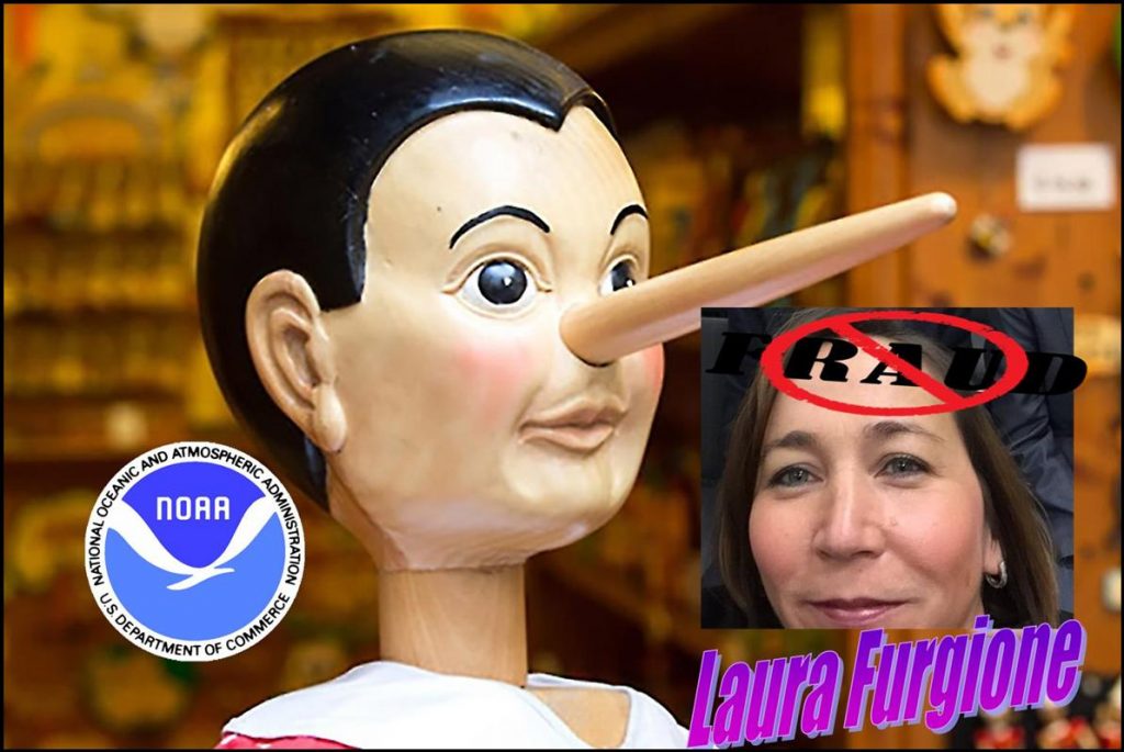 LAURA FURGIONE, NOAA ASSISTANT ADMINISTRATOR, WEATHER SERVICE, SHERRY CHEN, MULTIPLE FRAUDS