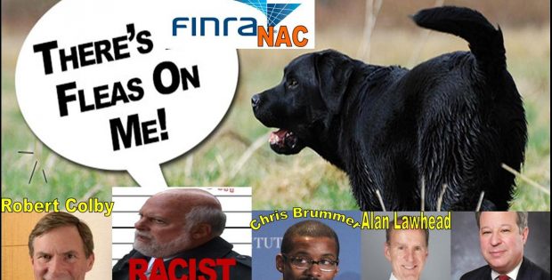 Alan Lawhead, Robert Colby, FINRA NAC, the Corrupt FINRA Watchdog is Full of Fleas