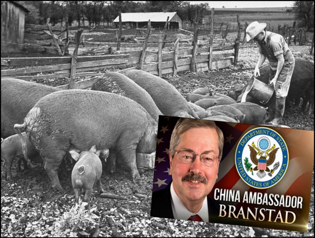 Terry Branstad, Can the Iowa Farm Boy Become American Ambassador to China
