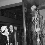 7-Foot, 7-Inch Irish Skeleton May Be Freed After 200 Years