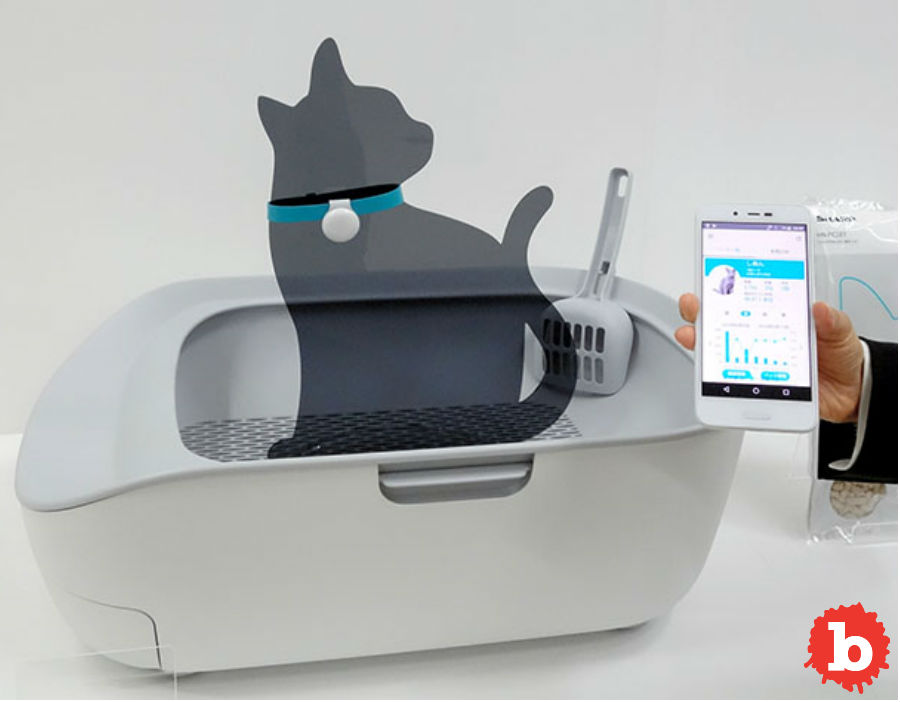 Want a Smart Litter Box That Could Save Your Cat's Life?