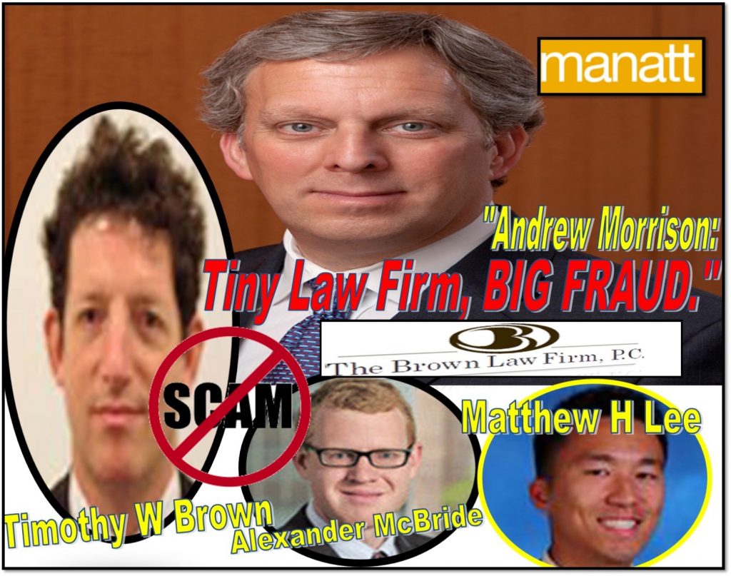 ANDREW L MORRISON, MANATT PHELPS PHILLIPS, lawyer, Timothy W Brown, Alexander McBride, Matthew H Lee, The Brown Law Firm, Oyster Bay, New York, derivative actions