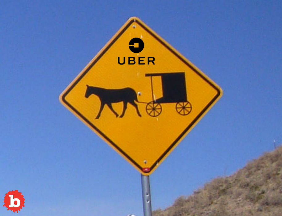 Amish Michigan Man Starts Horse & Buggy Amish Uber Service