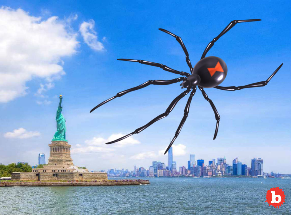 Global Warming Sends Black Widow Spiders Ever Further North