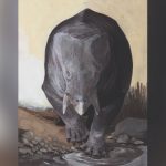 Fossil of Elephant Sized Mammal Found From Dinosaur Era