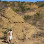 Giant 4,000 Year Old Termite Mounds Visible From Space