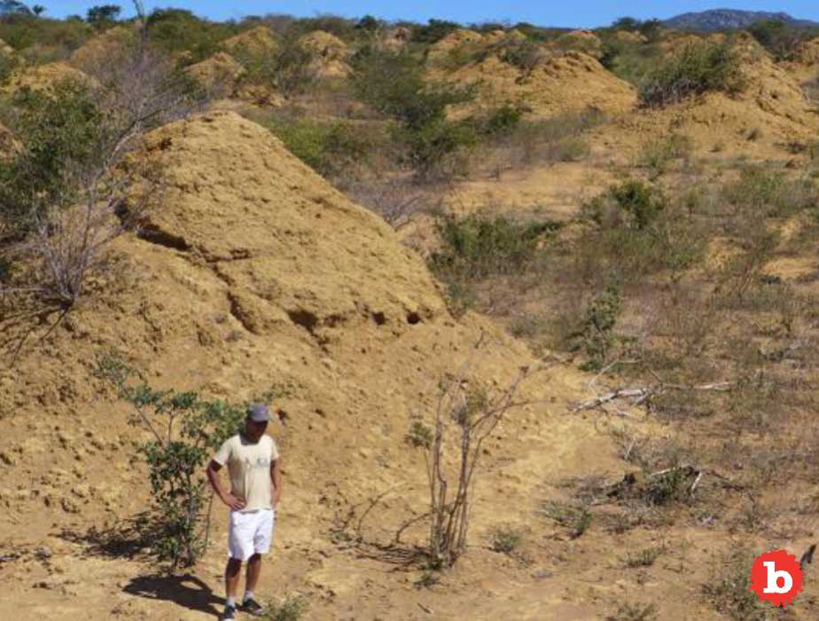 Giant 4,000 Year Old Termite Mounds Visible From Space