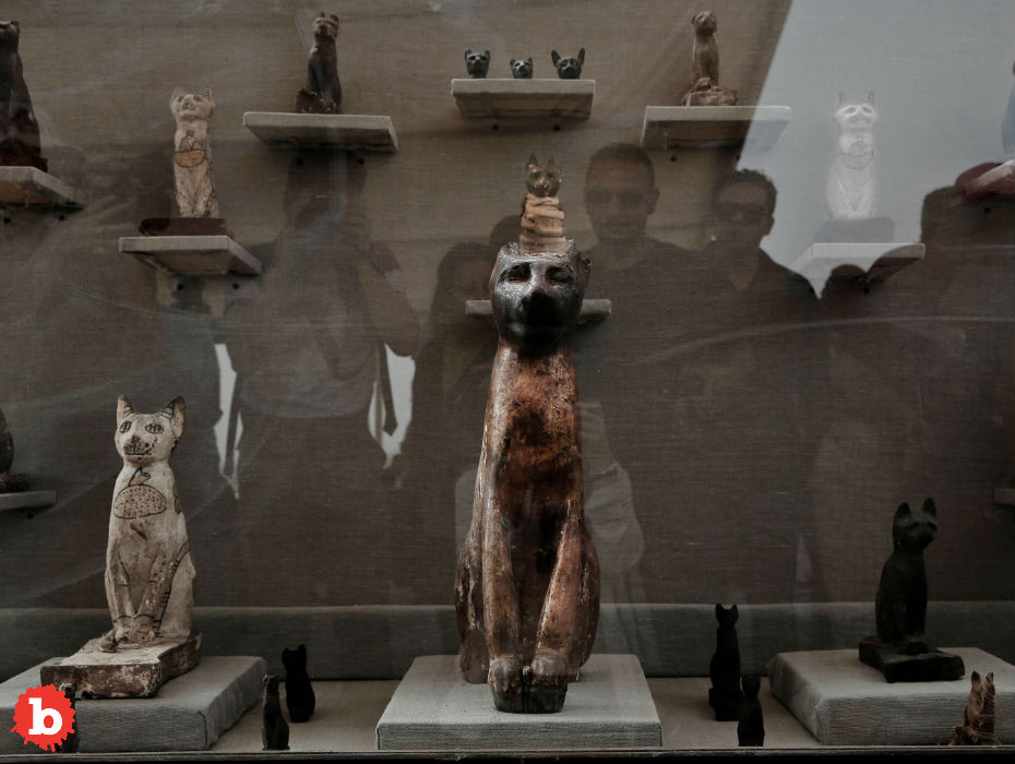 Huge Find in Egyptian Tombs, Including Ancient Cat Mummies