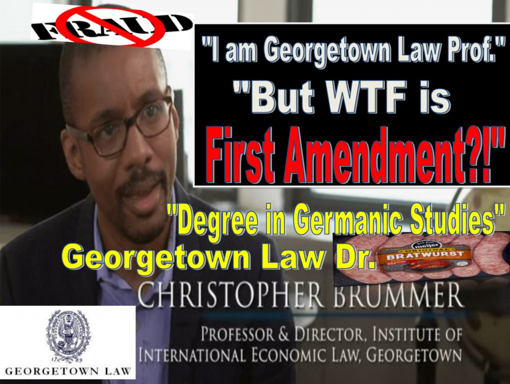 CHRIS BRUMMER, Georgetown Law Perv Professor Suffers Deadly Blow Against Free Speech, New York High Court Defends First Amendment