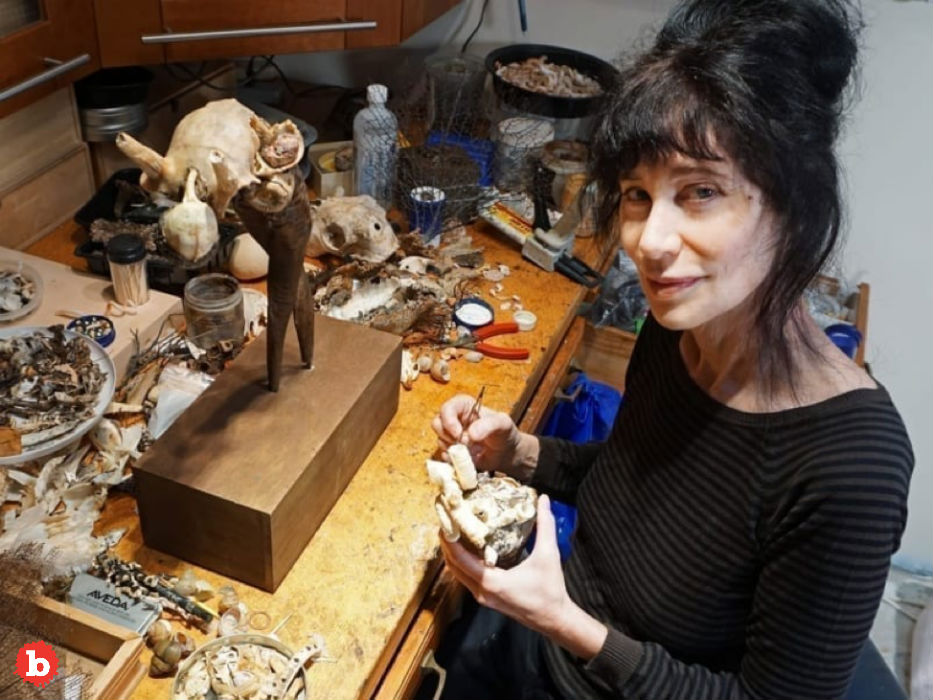 Toronto Sculptor Gillian Genser Poisoned With Heavy Metals