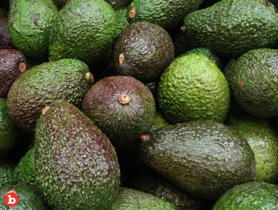 Super Bowl Sunday Could Face Avocado, Guacamole Shortage