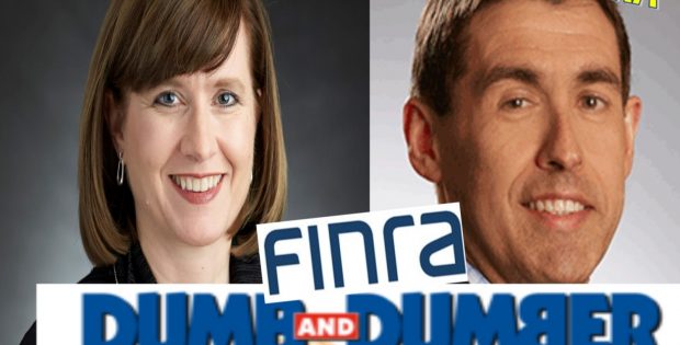 FINRA BOARD PUBLIC GOVERNORS BRIGITTE MADRIAN, LUIS VICEIRA, HARVARD PROFESSORS SHOW RACISM, HATE BLACKS