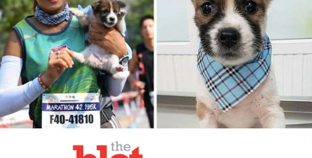 Woman Running Marathon Picks Up Lost Puppy for 19 Miles