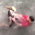 Police Arrest Idiot Who Assaulted a Brown Pelican on Viral Video