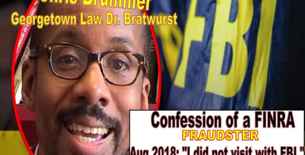 Georgetown Law Chris Brummer Deceives Esteemed New York Justice Lucy Billings, False Sworn Affidavit Perjury, Brummer FINRA NAC lies to FBI Got Caught