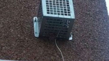 Philadelphia Park Officials Install Noise Machines to Repel Kids