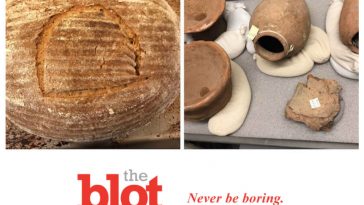 Baker Makes Bread From 4,500-Year-Old Ancient Egyptian Yeast
