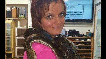 Indiana Woman Dead in Snake House, Reticulated Python Around Neck