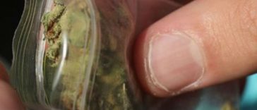 Man Had Weed Balloon Stuck in Nose for 18 Years