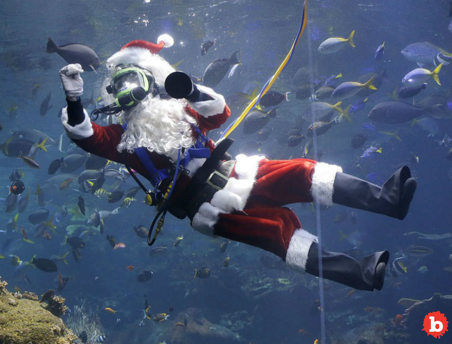 German Santa Goes Underwater at Berlin Sealife Aquarium