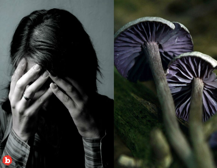 Got Depression? Magic Mushrooms May Soon Give Treatment