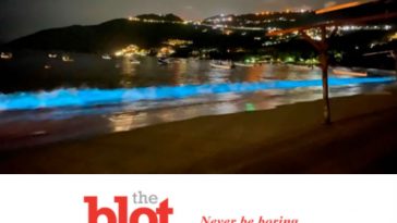 Acapulco Waters Light Up for First Time in 60 Years