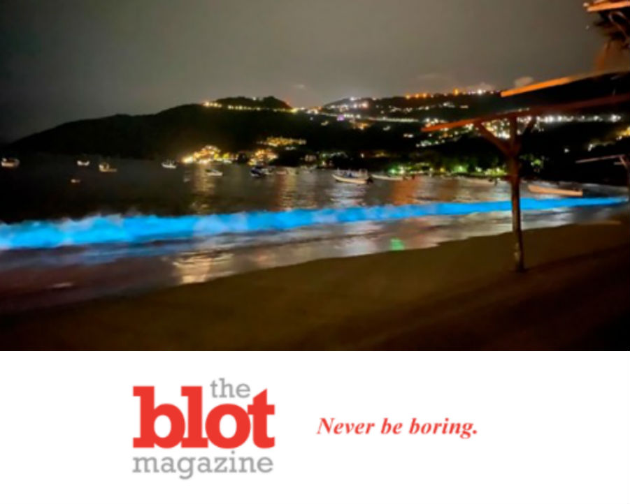 Acapulco Waters Light Up for First Time in 60 Years