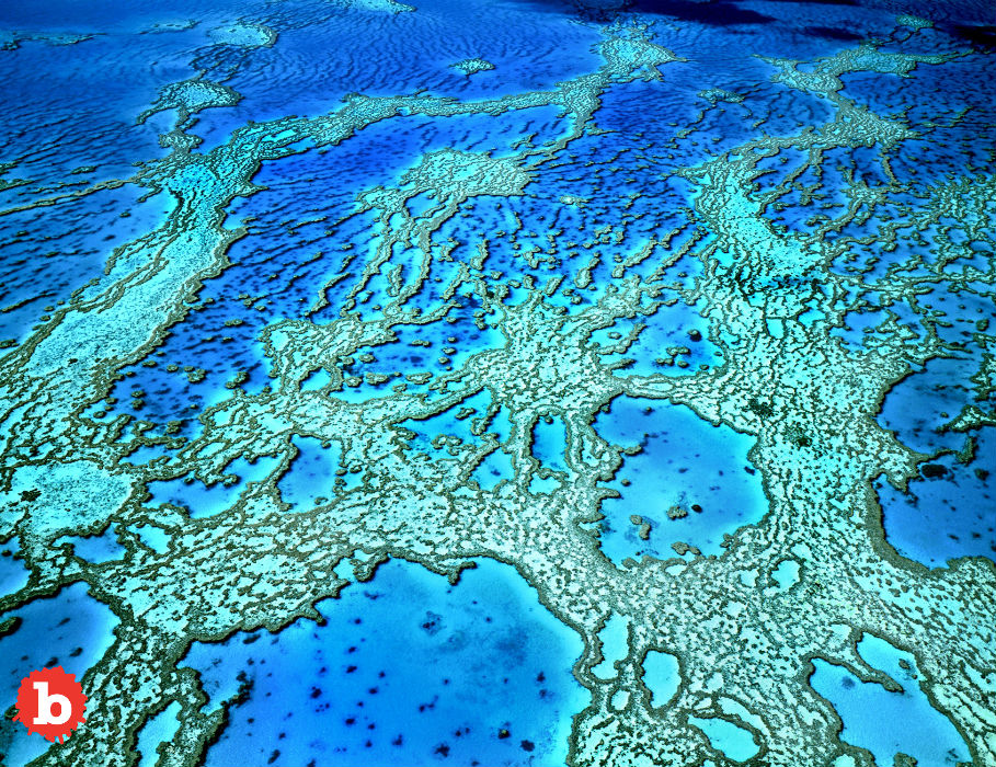 Play the NASA Video Game for You to Save Coral Reefs!
