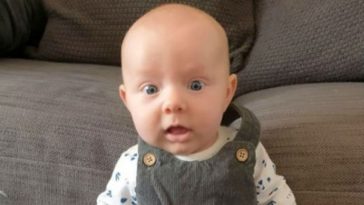 8-Week-Old Baby Lula Watches Strongman Vids, Stands