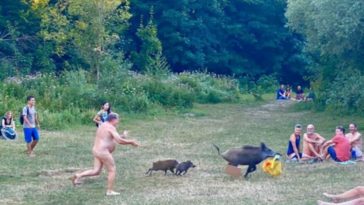Buck Naked German Man Chases Wild Boar For Laptop Computer