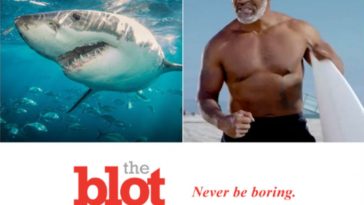 Terrified Mike Tyson Puts Shark to Sleep, Tickling Its Nose