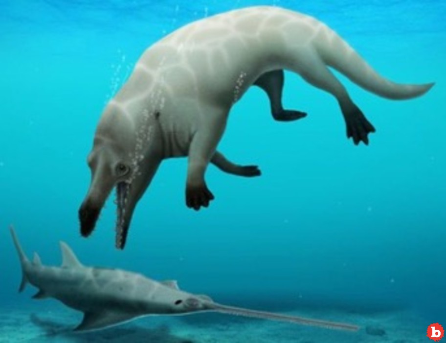 Here Is Phiomicetus Anubis, Whale That Looked Like a Dog