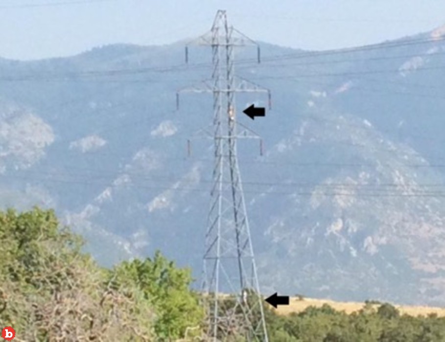 Utah Sherriff Issues PSA to Dumbasses: Don’t Hang a Hammock Next to Power Lines