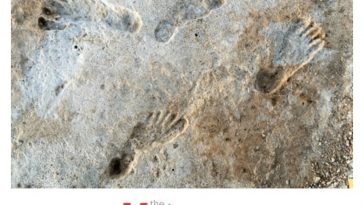 Oldest “Ghost” Human Footprints Ever Found in North America 23,000 Years Old