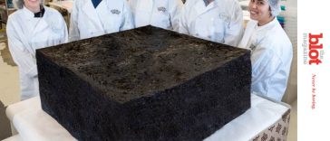 National Brownie Day 2022 Included 850 Pound Giant Pot Brownie