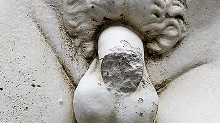 First American Navy Veteran Gets Penis Transplant, DOD Approved