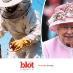 Even English Bees Need a Formal Notification of Queen’s Passing