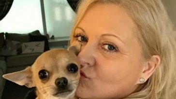 Pet Chihuahua Unloads Diarrhea Into Sleeping Owner’s Mouth