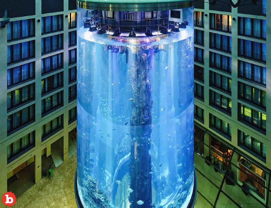 Berlin’s AquaDom Aquarium With 1,500 Tropical Fish Explodes
