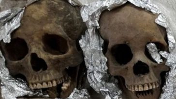 Mexican Authorities Find Human Skulls Heading to US